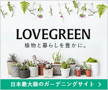 植物と暮らしを豊かに。LOVEGREEN 日本最大級のガーデニングサイト