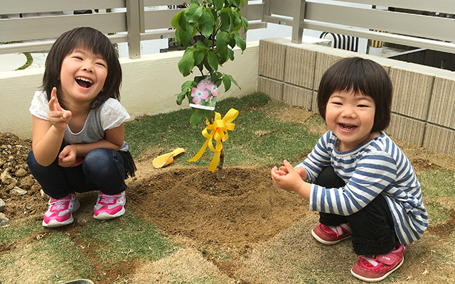 プラントプラン